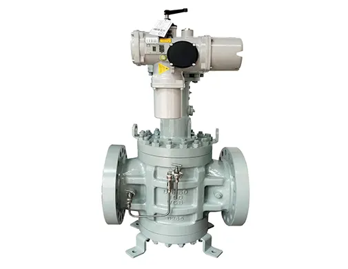 DBB Plug Valve