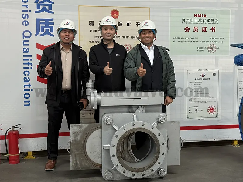 Line Blind Valves Manufacturer From China Famous Brand