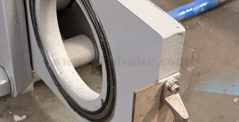 Analysis of the Causes of Blind Plate Valve Seals