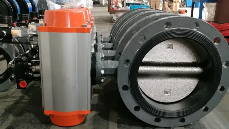 Soft Sealed Butterfly Valve DN125 to the United Arab Emirates